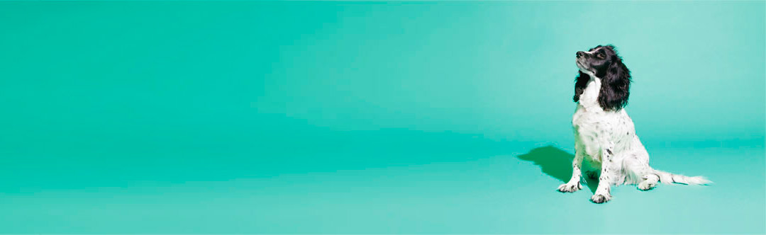 La Pantxa - Nosotros, nuestra oficina - Lombok Design